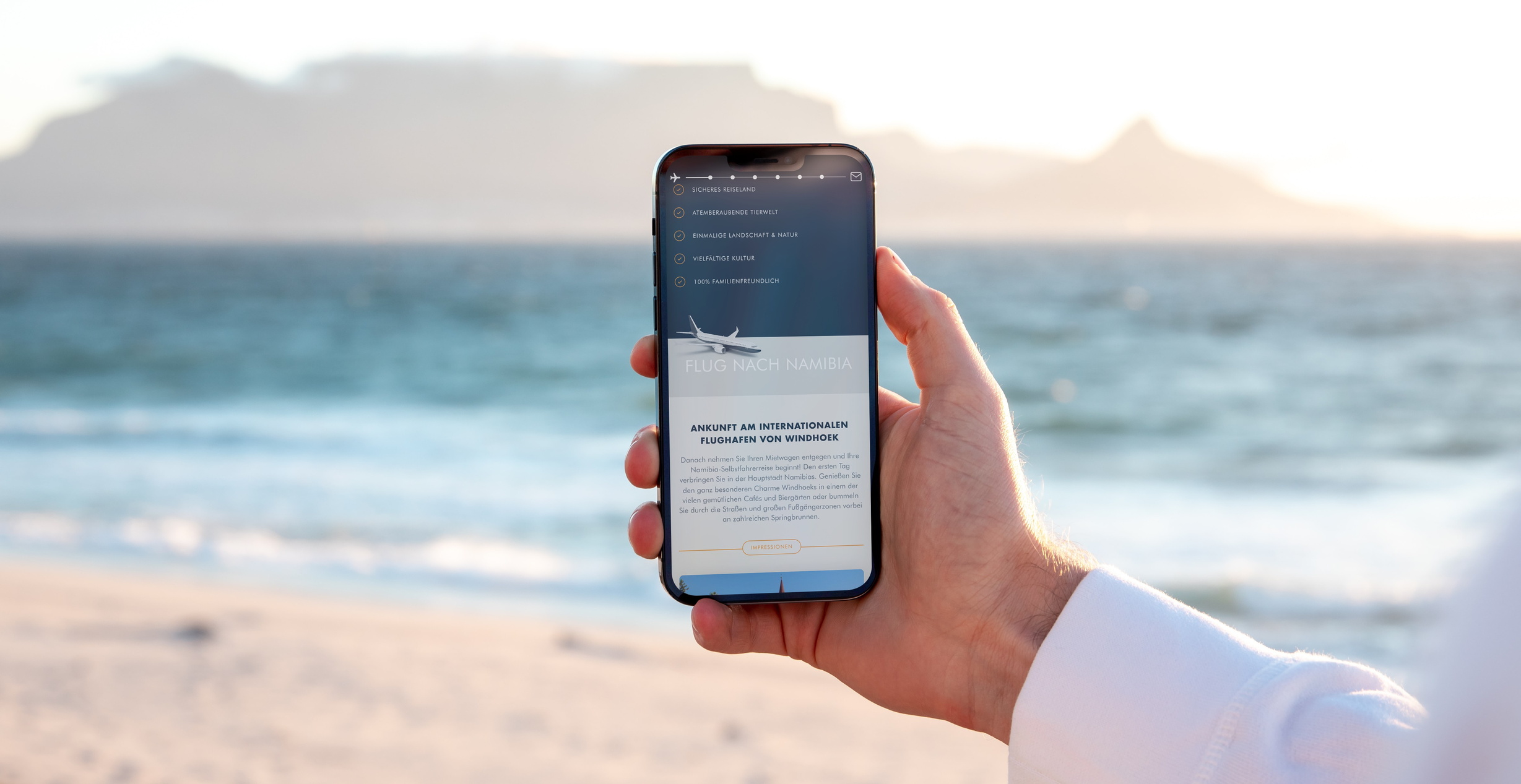 Smartphone-Mockup dieser Website
