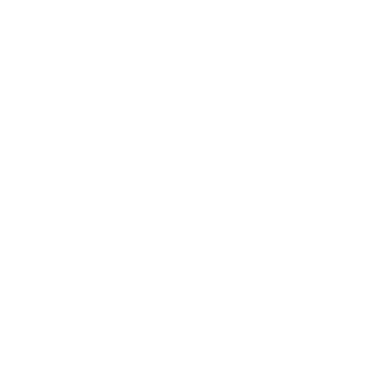 Logo 20