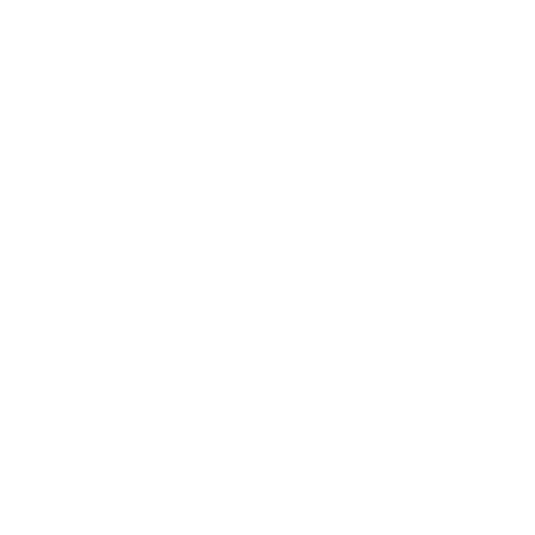 Logo 9
